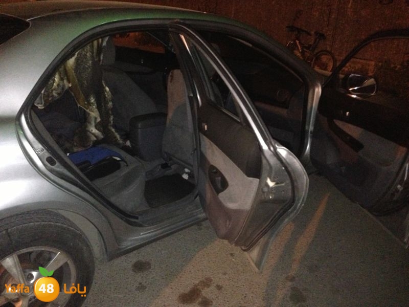 firelud608608 (10).jpg